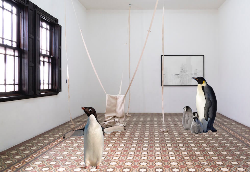 Fermée à cause du confinement, une galerie s’amuse à incruster des animaux dans son espace